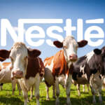 Nestlé se retira de la alianza para reducir el impacto climático de la industria láctea