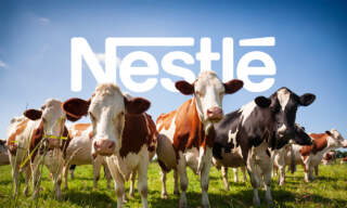 Nestlé se retira de la alianza para reducir el impacto climático de la industria láctea
