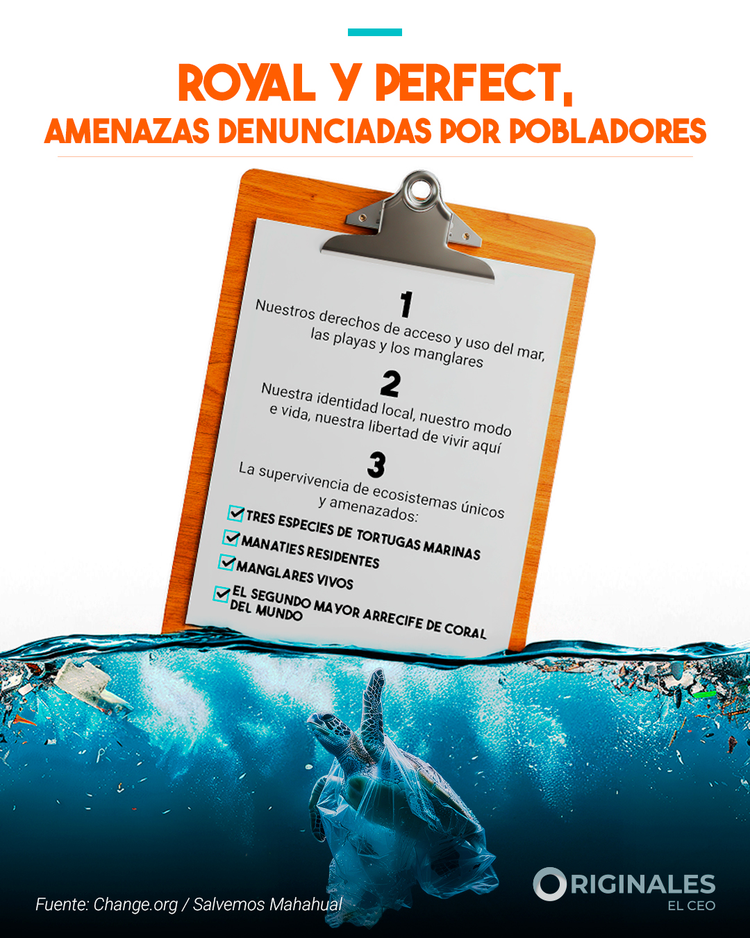 Buscan detener el plan de Royal Caribbean en Mahahual