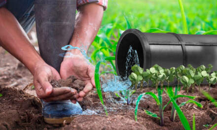 Ley de Aguas otorga más poder a la Conagua y genera dudas a empresas