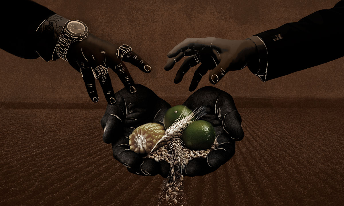 El campo frente al T-MEC: entre la violencia, bajos precios y un éxodo de 4,000 agricultores al año