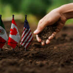 Agricultores piden que los granos queden fuera del T-MEC; estas son las razones