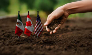 Agricultores piden que los granos queden fuera del T-MEC; estas son las razones