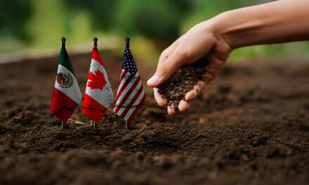 Agricultores piden que los granos queden fuera del T-MEC; estas son las razones