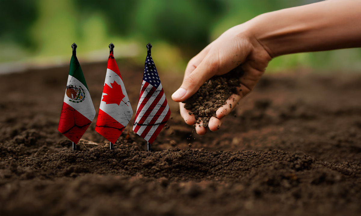 Agricultores piden que los granos queden fuera del T-MEC; estas son las razones