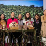 Plan Nacional del Maíz Nativo: de esto va el programa para impulsar la producción y el rescate alimentario