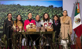 Plan Nacional del Maíz Nativo: de esto va el programa para impulsar la producción y el rescate alimentario