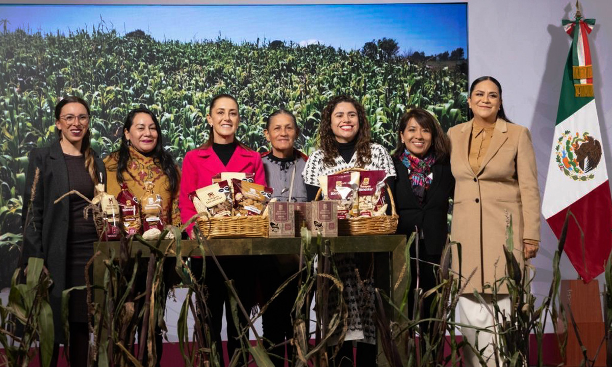 Plan Nacional del Maíz Nativo: de esto va el programa para impulsar la producción y el rescate alimentario