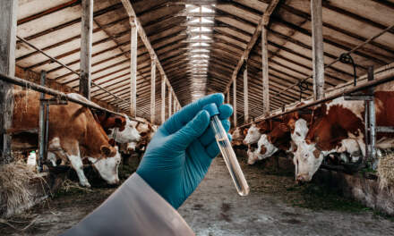 Se cumple un año del primer caso de gusano barrenador en México: estos son los avances y los retos