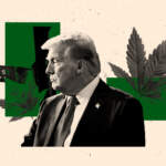 Acciones de cannabis ‘vuelan’ en Wall Street tras la nueva política de Donald Trump sobre el psicotrópico