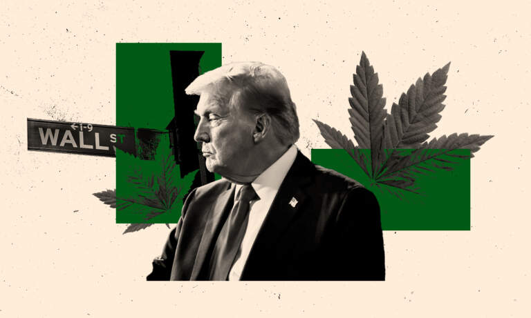 Acciones de cannabis ‘vuelan’ en Wall Street tras la nueva política de Donald Trump sobre el psicotrópico