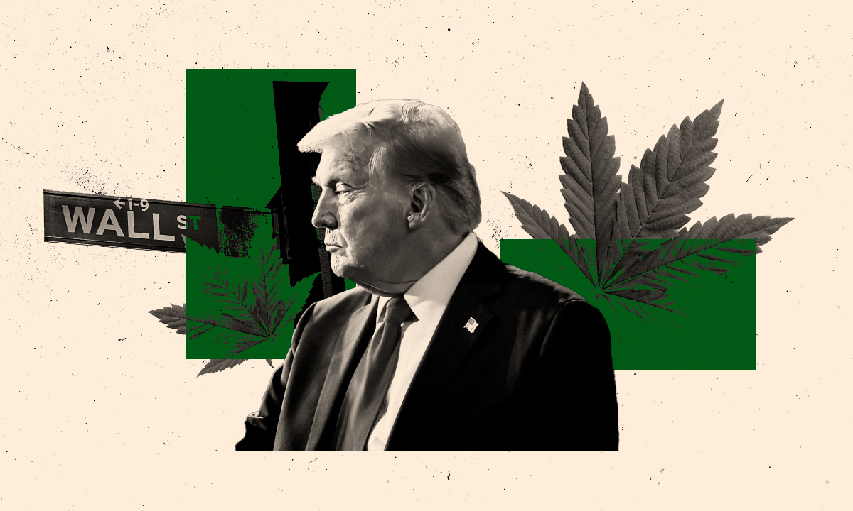 Acciones de cannabis ‘vuelan’ en Wall Street tras la nueva política de Donald Trump sobre el psicotrópico