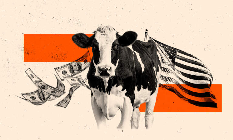 Gusano barrenador pone en jaque a la ganadería de EU: se cae el suministro de carne proveniente de México