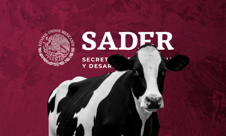 Continúa la emergencia: México amplía el programa para contener al gusano barrenador