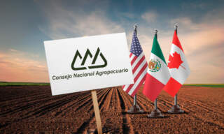 Sin crédito ni tecnología, el campo mexicano compite en desventaja pese al T-MEC, advierte el CNA