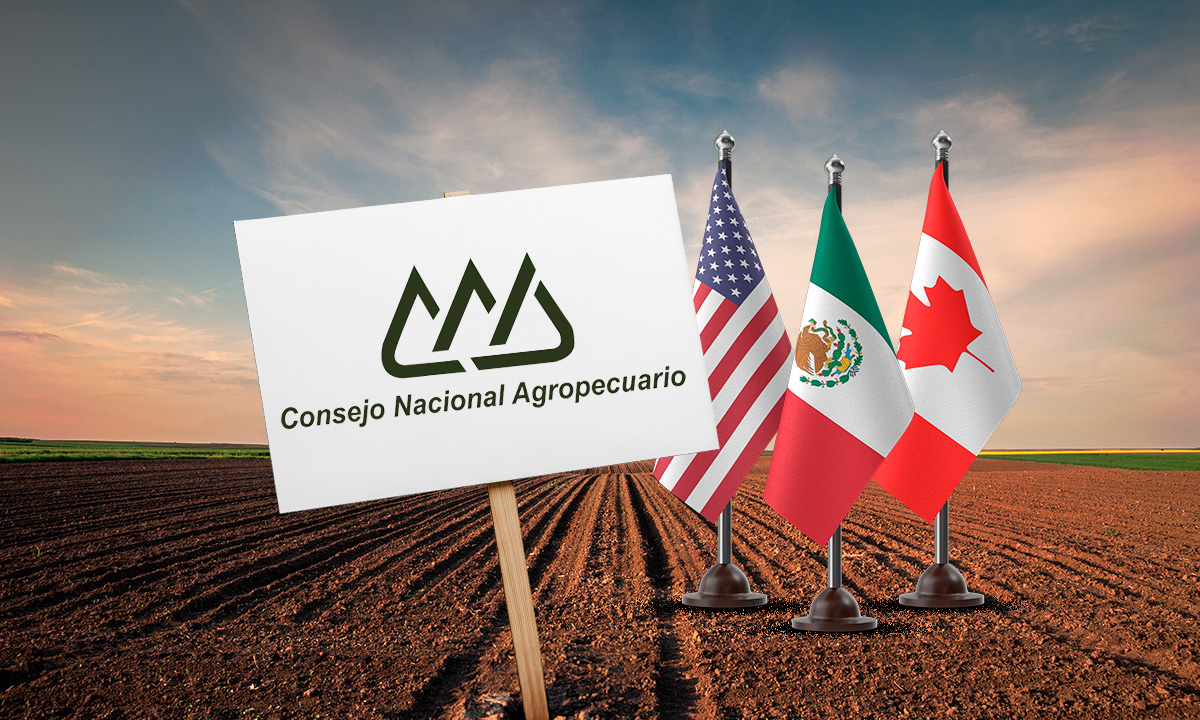 Sin crédito ni tecnología, el campo mexicano compite en desventaja pese al T-MEC, advierte el CNA