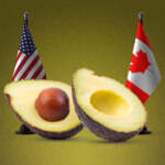 Aguacate mexicano, en riesgo de perder su reinado en EU: productores locales buscan impedir su importación