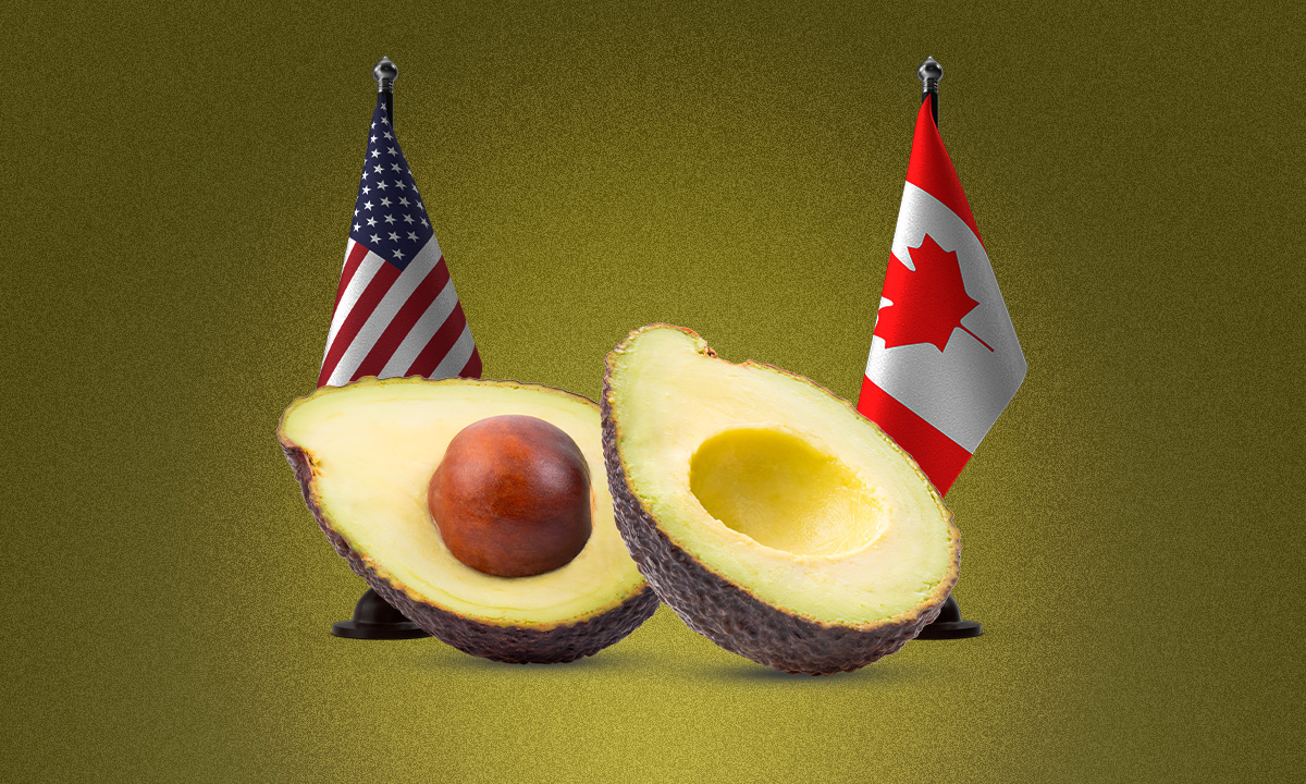 Aguacate mexicano, en riesgo de perder su reinado en EU: productores locales buscan impedir su importación