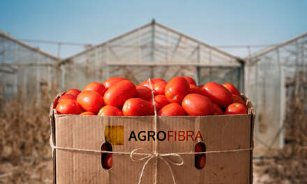 La nueva Agrofibra se quedará sin ingresos seis meses por los aranceles al jitomate