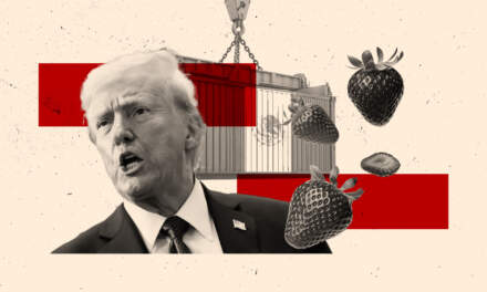 Donald Trump podría imponer aranceles a fresas mexicanas