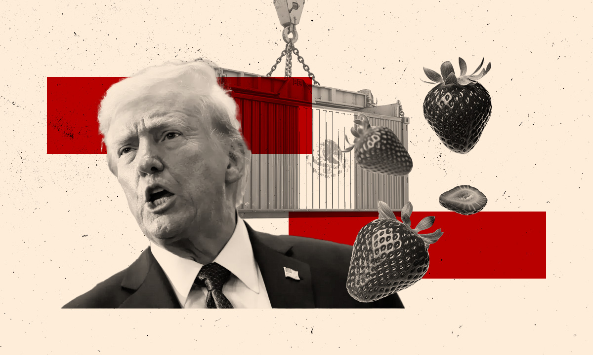 Donald Trump podría imponer aranceles a fresas mexicanas
