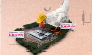 Bachoco: la silenciosa expansión que está depredando la selva en Yucatán