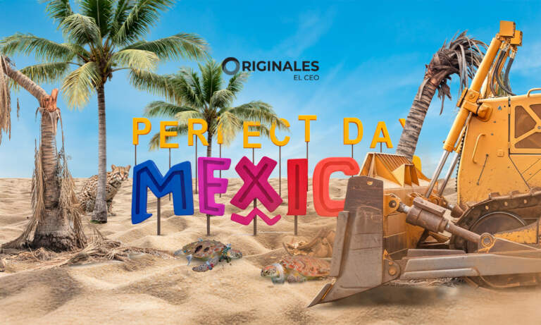 Proyecto de Royal Caribbean impactará hábitat de ocelotes, tigrillos y más especies protegidas en Mahahual