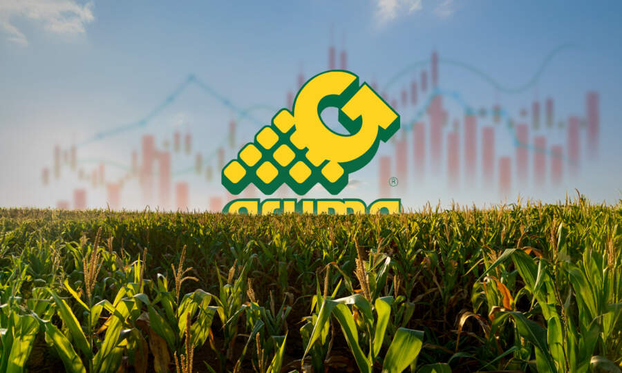 Gruma ajusta sus expectativas de 2026: espera menores ingresos ante debilidad en Estados Unidos
