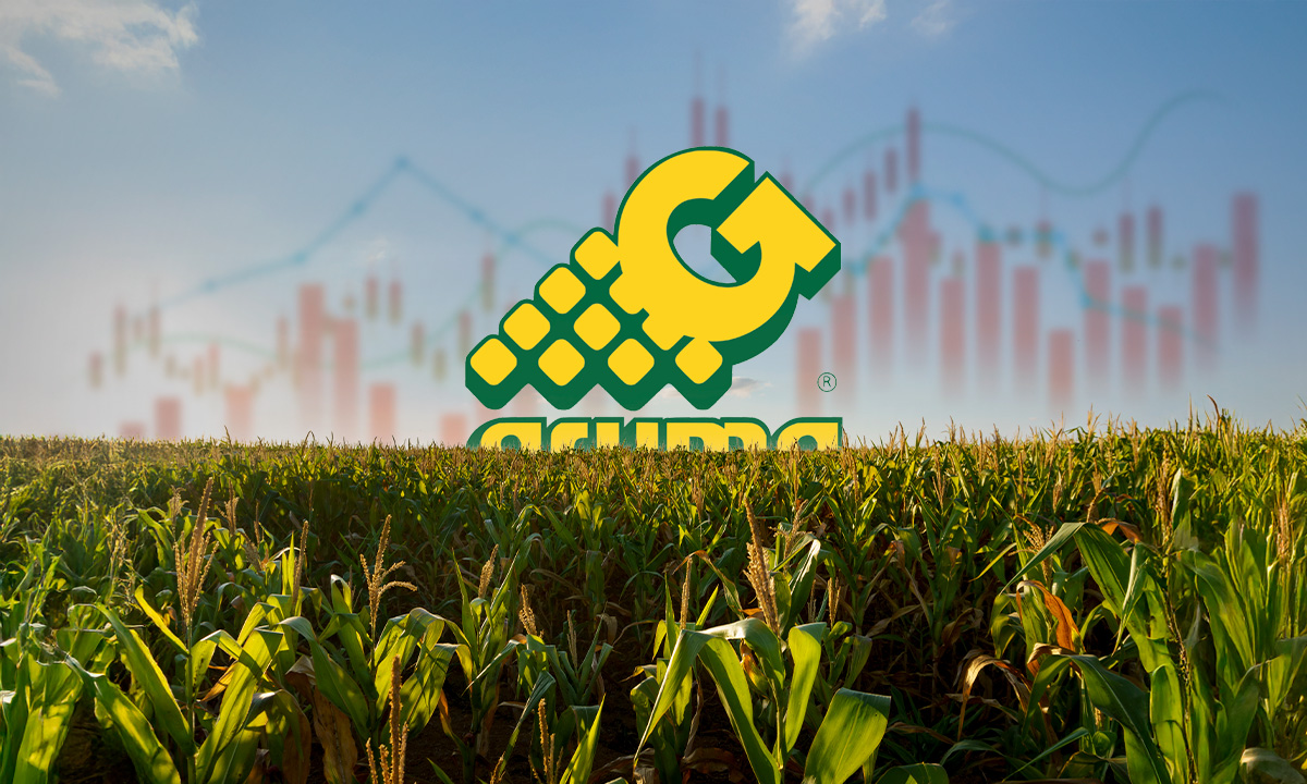 Gruma anticipa impacto financiero por acuerdo con CNA; pierde 8,000 mdp en valor