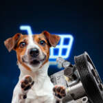 Mascotas y autopartes ganan terreno en compras de los mexicanos por internet