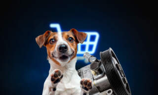 Mascotas y autopartes ganan terreno en compras de los mexicanos por internet