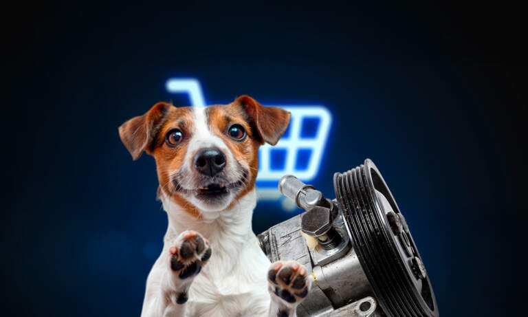 Mascotas y autopartes ganan terreno en compras de los mexicanos por internet