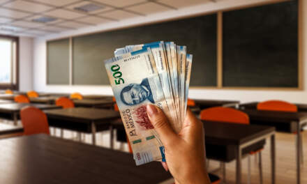 Solo 9 de cada 100 pesos de inversión física van a salud y educación