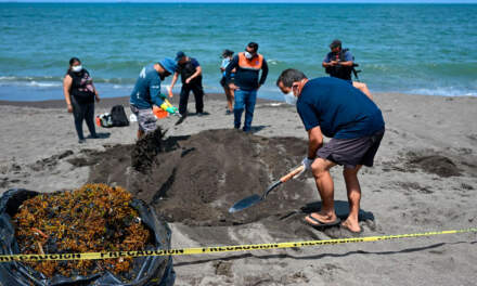 Recolectan más de 700 toneladas de petróleo del derrame en el Golfo de México