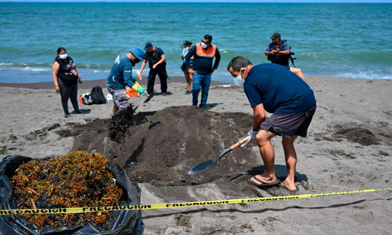 Recolectan más de 700 toneladas de petróleo del derrame en el Golfo de México