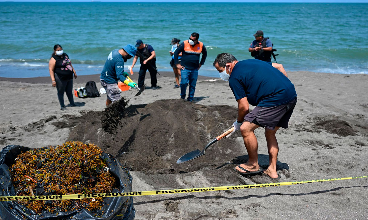 Recolectan más de 700 toneladas de petróleo del derrame en el Golfo de México