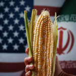 Tortillas más caras: Guerra en Medio Oriente elevará inflación en maíz y otros alimentos