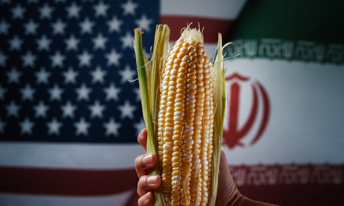 Tortillas más caras: Guerra en Medio Oriente elevará inflación en maíz y otros alimentos