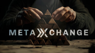 MetaXchange, fraude piramidal