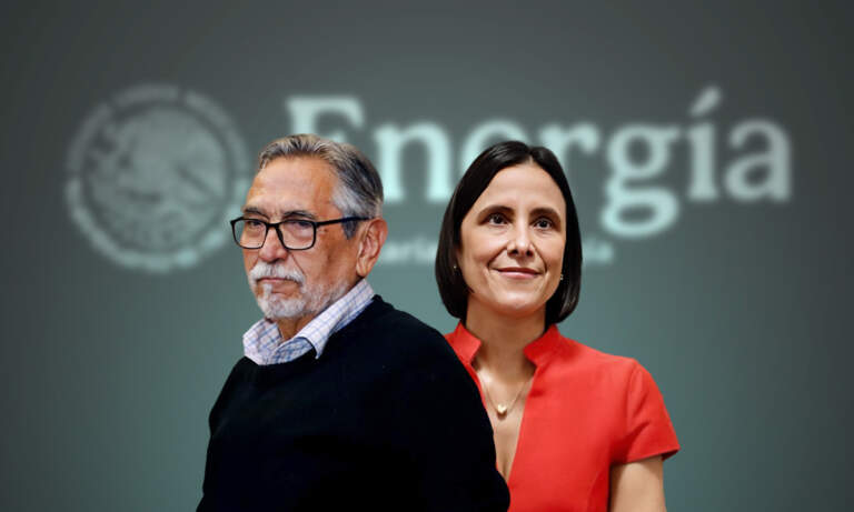 Energía desmiente salida de la secretaria Luz Elena González