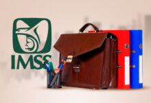 Empleo IMSS