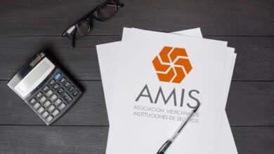 La AMIS busca colaborar con diversos sectores para bajar los precios de las pólizas de seguros