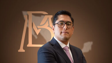 El subgobernador de Banxico, Omar Mejía Castelazo, sostuvo que es necesario diversificar y fortalecer la base de inversionistas