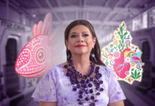 Ajolotes: entre la polémica de Clara Brugada y su conservación en CDMX