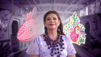 Ajolotes: entre la polémica de Clara Brugada y su conservación en CDMX
