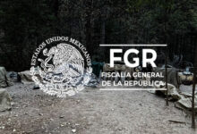FGR Chihuahua