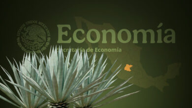 Secretaría de Economía amplía la denominación de origen del mezcal: incluirá 4 municipios de Guanajuato