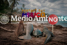 Perfect Day no va: proyecto de Royal Caribbean en Mahahual no será aprobado por la Semarnat