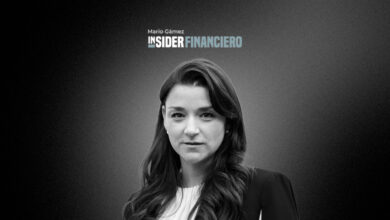 Elisa de Anda Madrazo, presidenta del Grupo de Acción Financiera Internacional