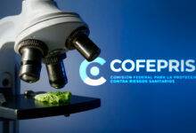 Cofepris descarta cycloespora en lechuga